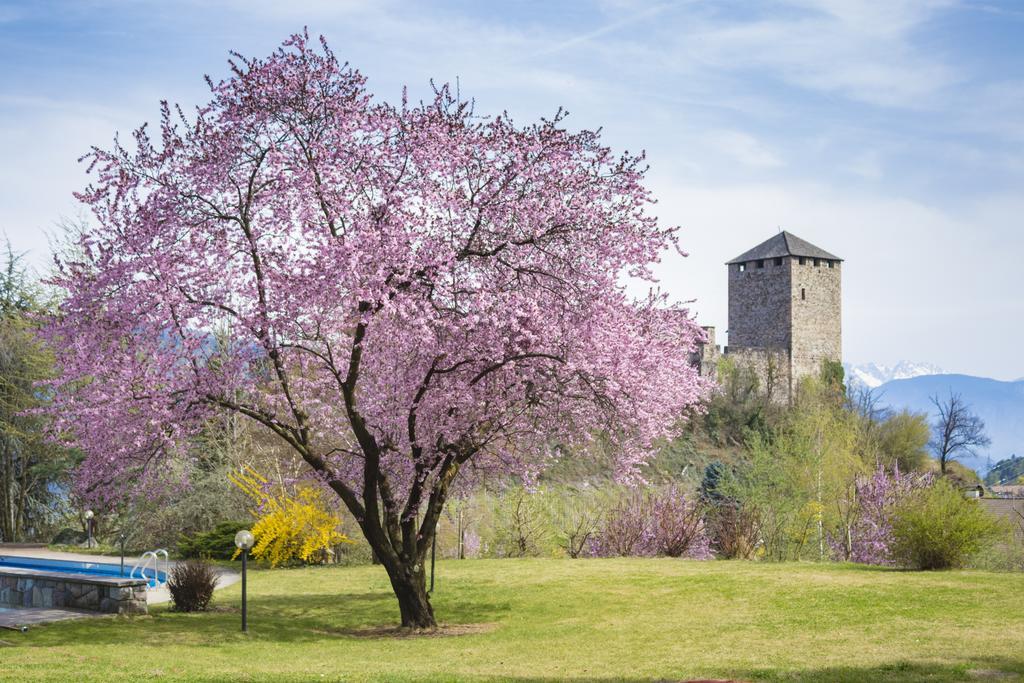 Der Waldhof Hotel Vollan Luaran gambar